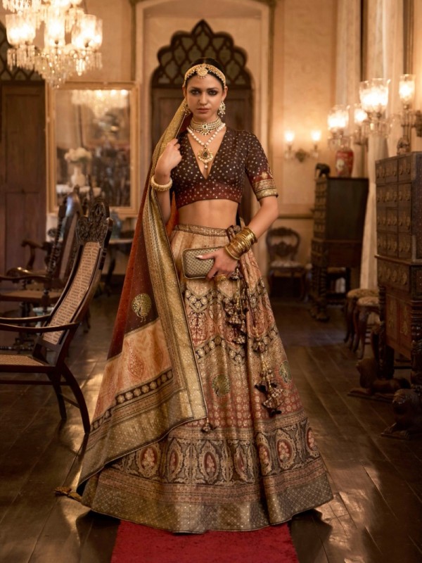 Pure Banarasi Silk Wedding Lehenga in Multi Color With Embroidery  work