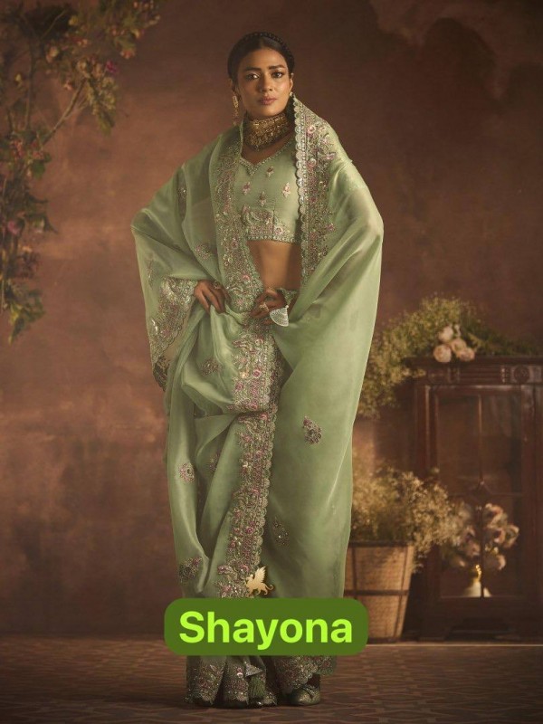 Fancy Silk Fabric Party wear Saree In Light Green Color with Embroidery Work 