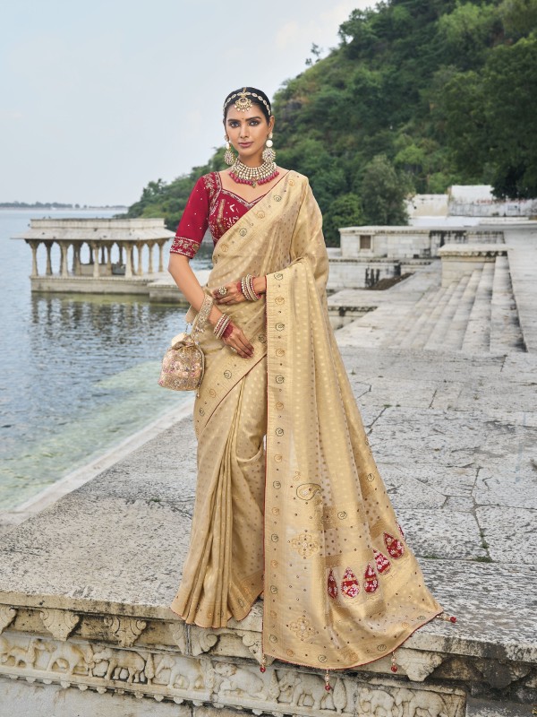 Pure Kanjivaram Silk Fabric Wedding wear Saree In Chiku Color With Cut dana & Jardoshi Work